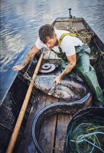 Pêche durable sur la Loire en compagnie de Christophe Hay (photo 1)