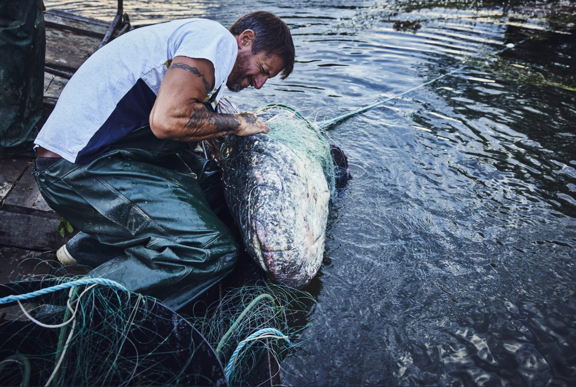 Pêche sur la Loire en compagnie de Christophe Hay