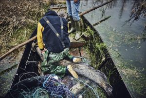 Pêche durable sur la Loire en compagnie de Christophe Hay (photo 3)
