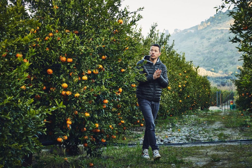 Producteur dans un verger d’agrumes, identité visuelle Adamance