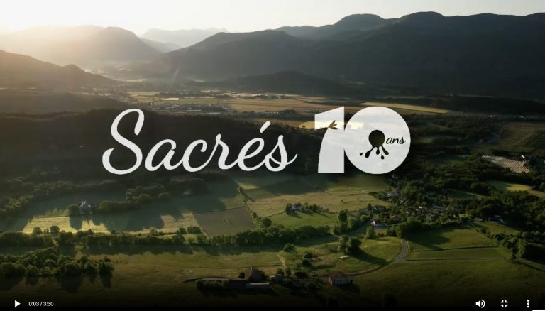 cover du film des 10 ans de Sacré Willy